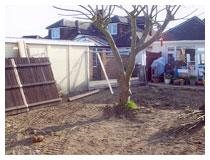 Garden during landscaping.