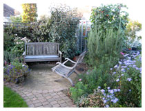 Sitting-area in autumn, with michaelmas daisies in bloom