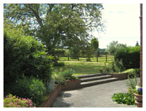 Wide and easy steps lead from the terrace to the walnut tree.  Garden design in Berkhamsted.