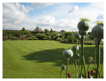 View across the main lawn in this beautifully kept garden.