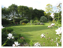 Planting  around the lawns is attractive all year round.