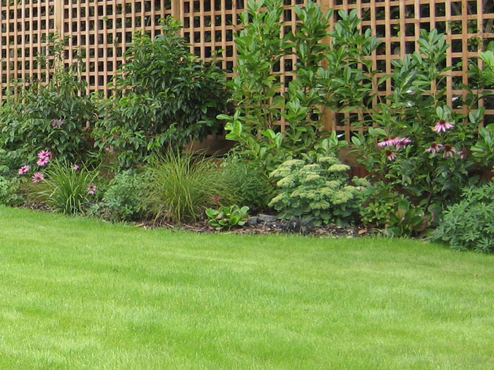 Christine Lees Garden Design - A Garden In Hertfordshire
