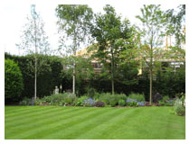 A garden border designed to harmonise with the traditional style of the existing garden and to screen the view of the new house being built at the bottom of the garden.  Garden design in Hertfordshire near St Albans.