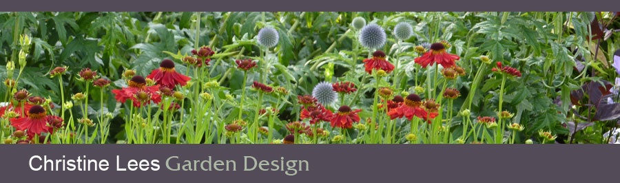 Wildlife friendly garden design