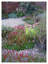 Perennials and shrubs give interest in structure and colour through the year, with only one maintenance session per year.  Shown here in late summer.